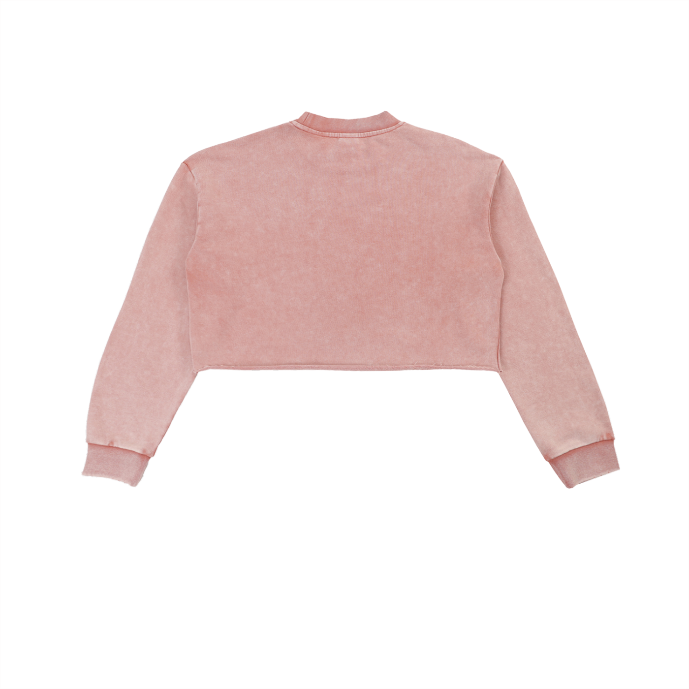 Snow Washed Raw Edge Cropped Sweatshirt - SHARKY