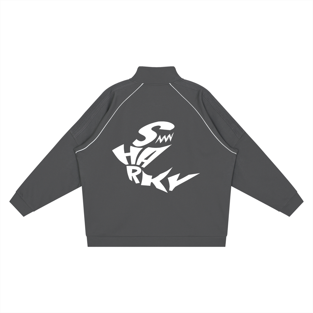 Reflection Striped Raglan Sleeve  Jacket p2 ODMPOD