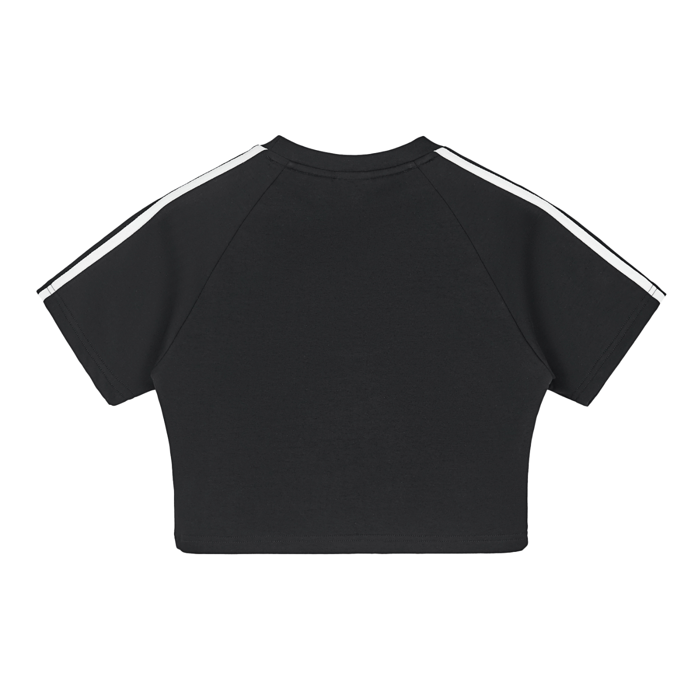 Taped Cooling Performance Crop Top - SHARKY